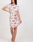 Daydress model 180220 Rue Paris