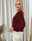 Shimmer Long Sleeve Tie Front Top