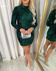 Sequin Long Sleeve Bodycon Mini Dress