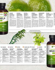Sea Kelp 2000mg 200 Vegan Tablets | Natural Source of Iodine | Premium Ingredients | Proudly made in the UK by Prowise - Toi ‘n’ Moi Ltd