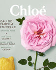 Chloe Naturelle Eau De Parfum Spray 30ml - Toi ‘n’ Moi Ltd