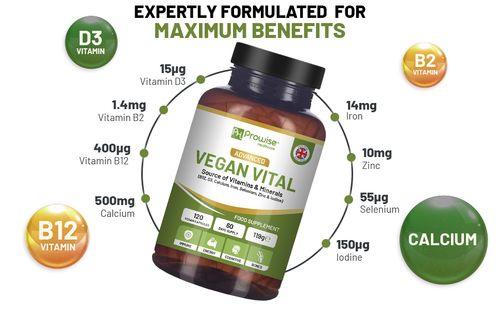 Vegan Vital Multivitamins and Minerals | 120 Vegan Multivitamin Capsule by Prowise Healthcare - Toi ‘n’ Moi Ltd