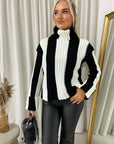 Roll Neck Stripe Knitted Jumper