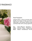 Gres Cabotine Rose Eau De Toilette Spray 100ml - Toi ‘n’ Moi Ltd